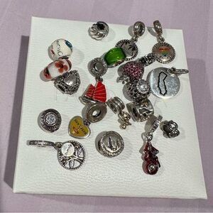 Various Pandora Charms!